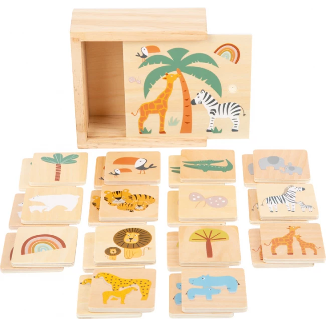 Memory Safari