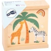 Memory Safari